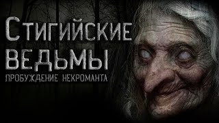 постер аудиокниги Стигийские ведьмы
