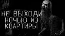 постер аудиокниги Пушистый