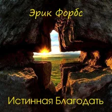 постер аудиокниги Истинная благодать