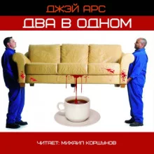 постер аудиокниги Два в одном