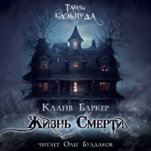 постер аудиокниги Жизнь смерти