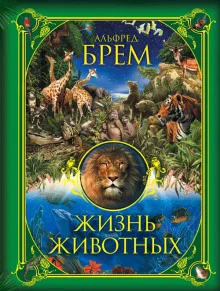 Жизнь животных