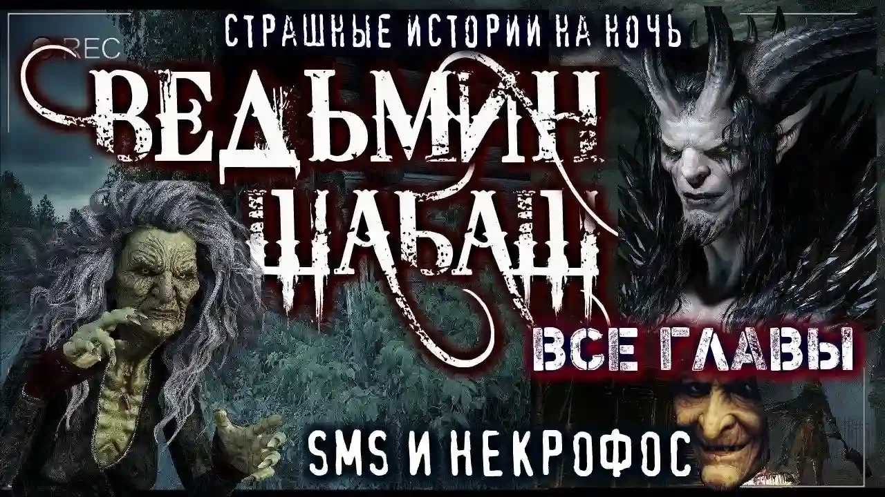 постер аудиокниги Ведьмы уходят в небо