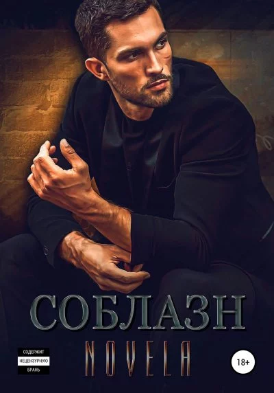 постер аудиокниги Соблазн - Novela