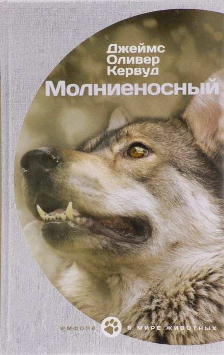 постер аудиокниги Молниеносный - Джеймс Оливер Кервуд