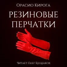 постер аудиокниги Резиновые перчатки