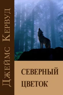 постер аудиокниги Северный цветок