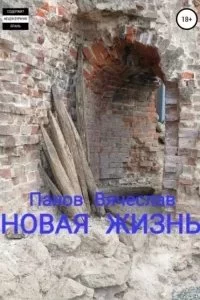 постер аудиокниги Новая жизнь - Вячеслав Панов