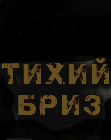 постер аудиокниги Санаторий Тихий бриз