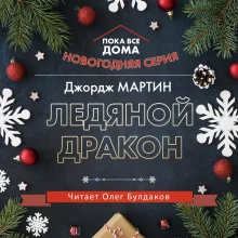 постер аудиокниги Ледяной дракон
