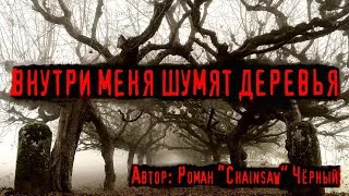 постер аудиокниги Внутри меня шумят деревья - Черный Роман