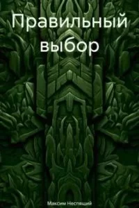 постер аудиокниги Правильный выбор - Максим Неспящий
