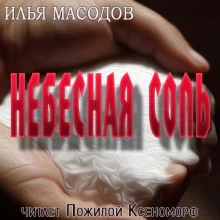 постер аудиокниги Небесная соль