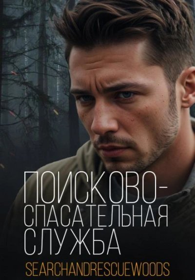 постер аудиокниги Поисково-спасательная служба