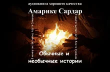 постер аудиокниги Обычные и необычные истории