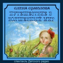 постер аудиокниги Путешествие в волшебный мир