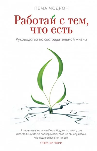 постер аудиокниги Работай с тем, что есть. Руководство по сострадательной жизни - Пема Чодрон