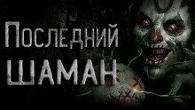 постер аудиокниги Последний шаман