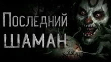 постер аудиокниги Последний шаман
