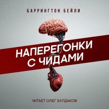 постер аудиокниги Наперегонки с чидами
