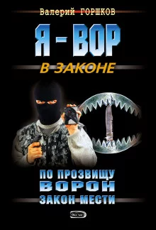 постер аудиокниги По прозвищу Ворон. Закон мести