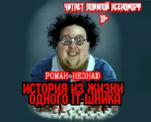 постер аудиокниги История из жизни одного айтишника