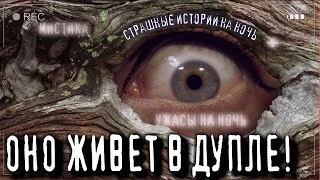 постер аудиокниги Никогда не кричи в лесу! - Софья Маркелова