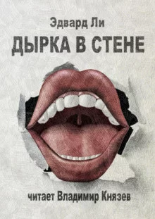 постер аудиокниги Дырка в стене
