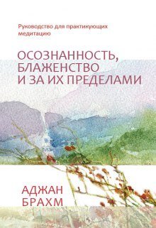 постер аудиокниги Осознанность, блаженство и за их пределами. Руководство для практикующих медитацию