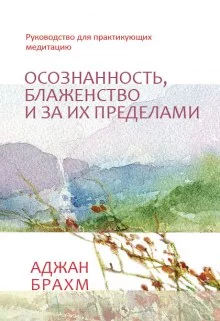 постер аудиокниги Осознанность, блаженство и за их пределами. Руководство для практикующих медитацию