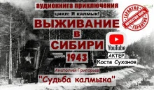 постер аудиокниги Судьба калмыка. Том 3
