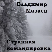 постер аудиокниги Странная командировка