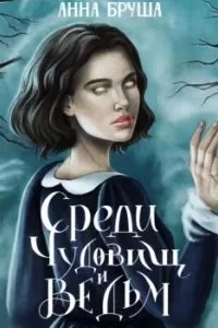 постер аудиокниги Королевство туманов 2. Среди чудовищ и ведьм - Анна Бруша
