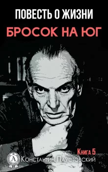 постер аудиокниги Бросок на юг