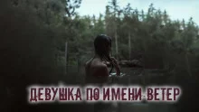 постер аудиокниги Девушка по имени Ветер