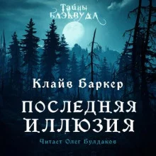 постер аудиокниги Последняя иллюзия