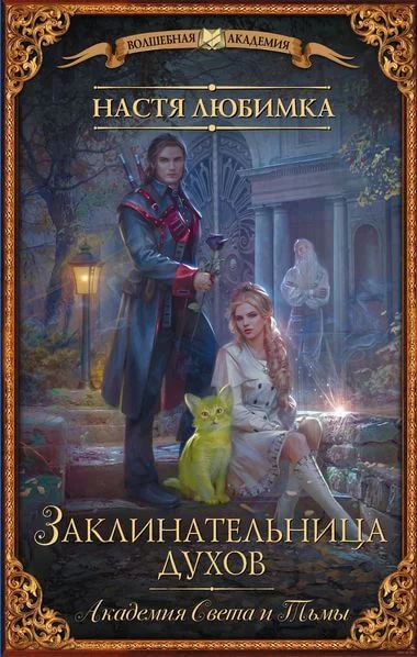 постер аудиокниги Академия света и тьмы - Настя Любимка