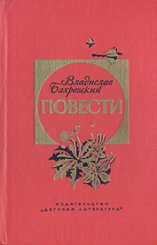 постер аудиокниги Помощник