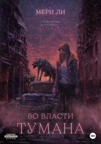 постер аудиокниги Во власти тумана - Ли Мери