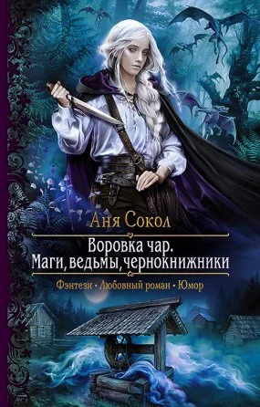 постер аудиокниги Воровка чар 1. Маги, ведьмы, чернокнижники - Аня Сокол