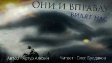 постер аудиокниги Они и вправду видят нас