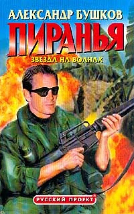 постер аудиокниги Звезда на волнах