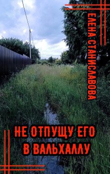 постер аудиокниги Не отпущу его в Вальхаллу