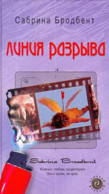 постер аудиокниги Линия разрыва