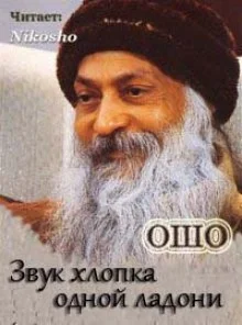 постер аудиокниги Звук хлопка одной ладони