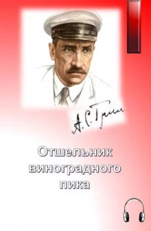 постер аудиокниги Отшельник виноградного пика