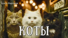 Коты