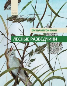 постер аудиокниги Лесные разведчики