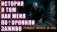 постер аудиокниги Человек, который вернулся