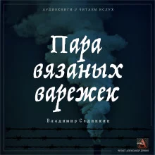 постер аудиокниги Пара вязаных варежек